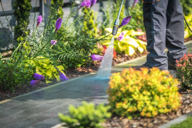Best Pool Deck Cleaning  in Ller, WA
